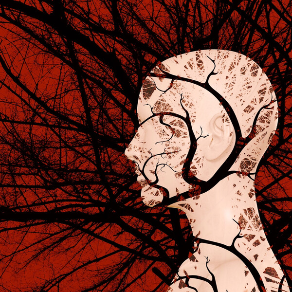 A white head against a red background with black branches going everywhere
