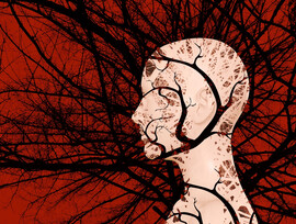 A white head against a red background with black branches going everywhere
