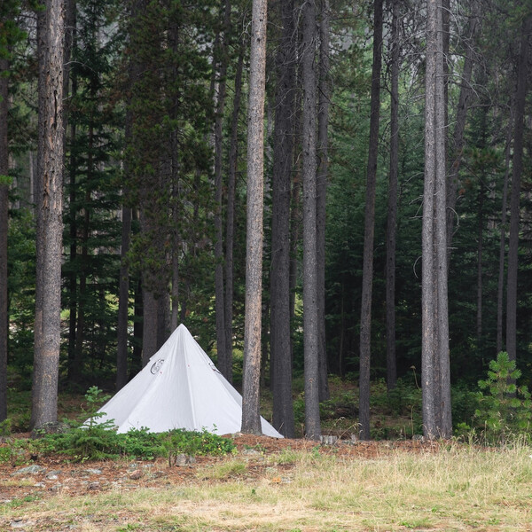 An indigenous tent in a forest