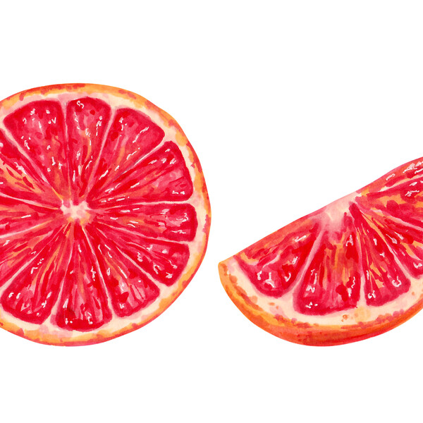 Collection of grapefruit whole with half and slice. Marker illustration in watercolor style. Eco-friendly orange fruit. Hand drawn isolated art. Healthy food design for food packaging, juice.