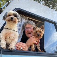 headshot of Laura Barr with dogs Panda and Mookie