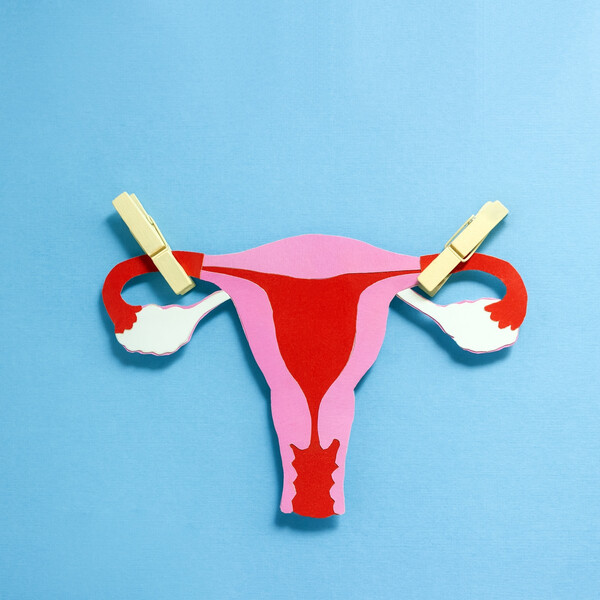 A blue background with a craft/artistic depiction of a uterus