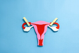 A blue background with a craft/artistic depiction of a uterus
