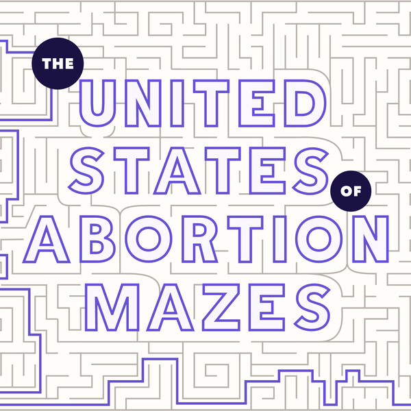 A screenshot from the site of the words "The United States of Abortion Mazes" etched into a maze