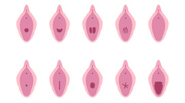 A white background with pink images of different vaginal coronas