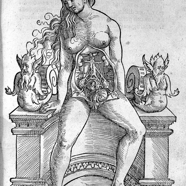 A woman sits on a desk with her reproductive system exposed