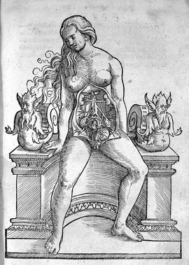 A woman sits on a desk with her reproductive system exposed