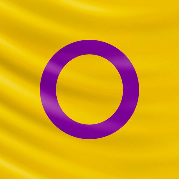 an intersex flag