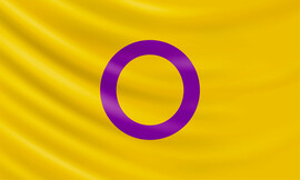 an intersex flag