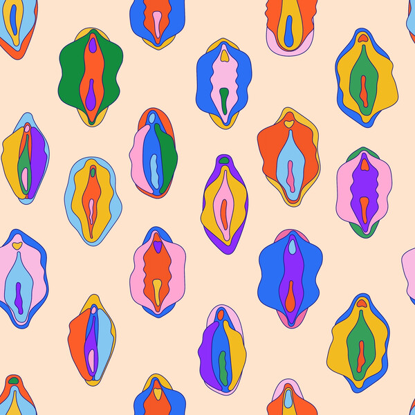 Art with differently colored vulvas of different sizes and shapes