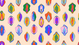 Art with differently colored vulvas of different sizes and shapes