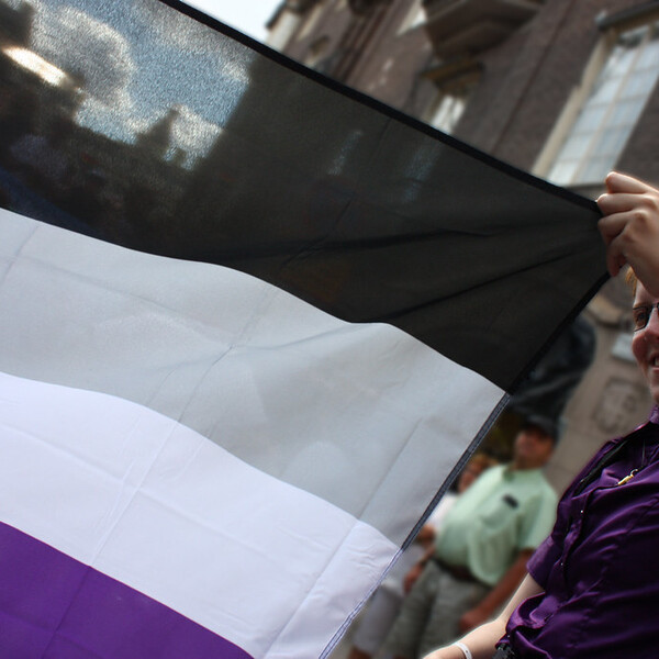 Asexual flag