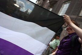 Asexual flag