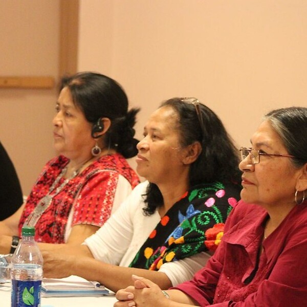 indigenous women council