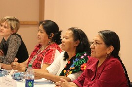 indigenous women council
