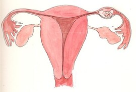 512px-Ectopic_pregnancy_in_Fallopian_tube