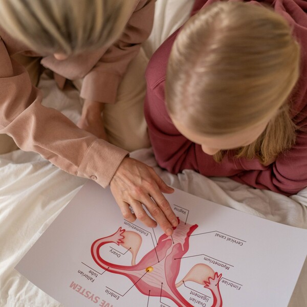 Mother and daughter looking at anatomy scaled jpg