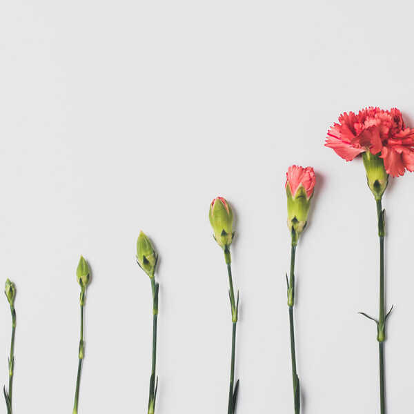 Why We Should Celebrate the Joys of Menopause scaled jpeg