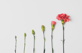 Why We Should Celebrate the Joys of Menopause scaled jpeg