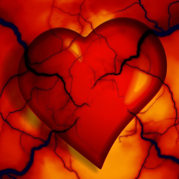 heart-Gerd-Altmann-Pixabay