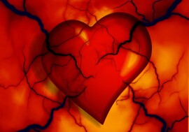 heart-Gerd-Altmann-Pixabay