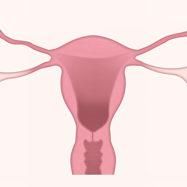 uterus-g464208003_1920