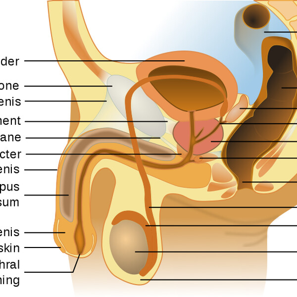 Jinsiy aloqa shirin qaynona Jinsiy Fraulein