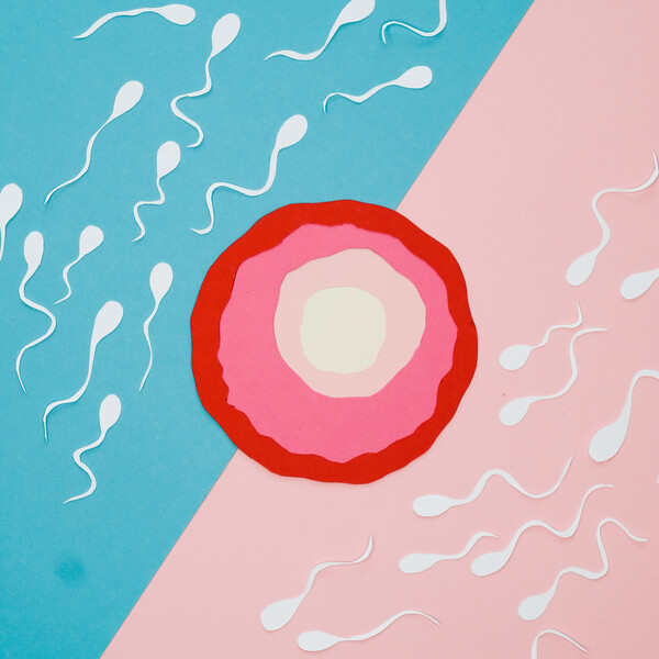 How in vitro fertilization IVF works scaled jpeg