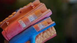 Robina weermeijer arteries unsplash scaled jpg