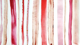Free Menstruation Stock Photo Gallery:When period blood turns into art- A photo gallery