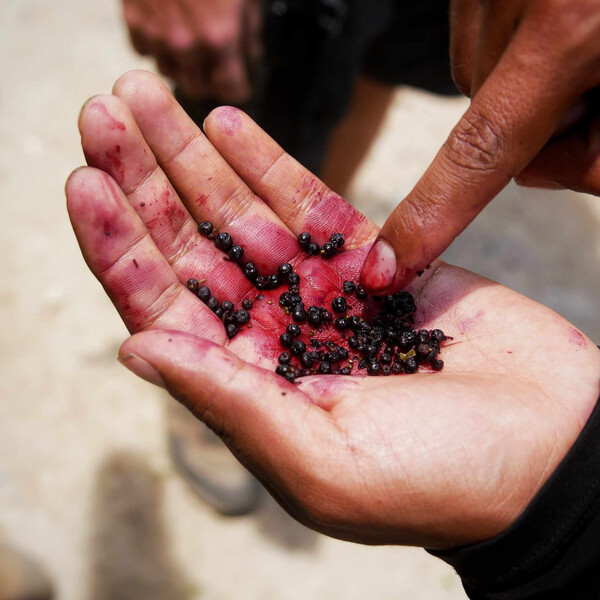 How a Native American coming-of-age ritual is making a comeback