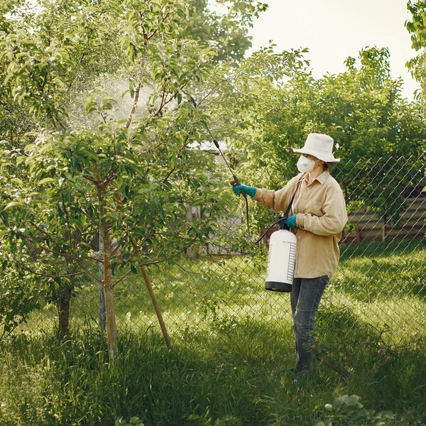 A woman in a white hat, yellow jacket, jeans, and a white gas mask sprays pesticides on a tree.