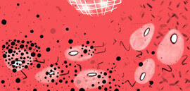 Bacterial Vaginosis (BV)