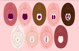 Nine drawings of different types of hymens on top of a pink background.