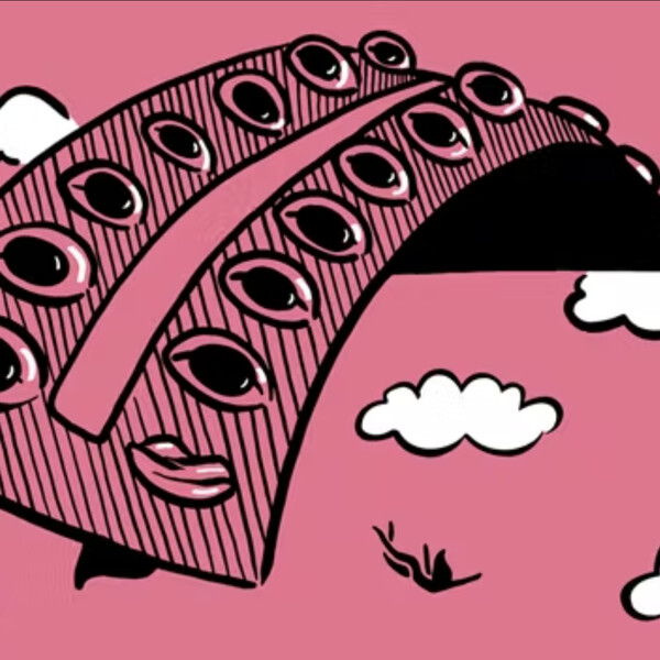A cartoon interpretation: a birth control package with a pink background with a few clouds scattered throughout the image. Image from Pussypedia.