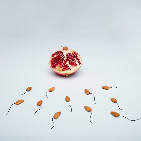 A pomegranate cut in half sits in the background, several almonds with tails (symbolizing sperm) are laid out as if they are swimming to the pomegranate (that represents the vulva).