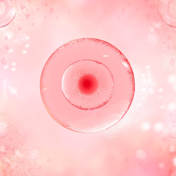 A pink image of an egg cell