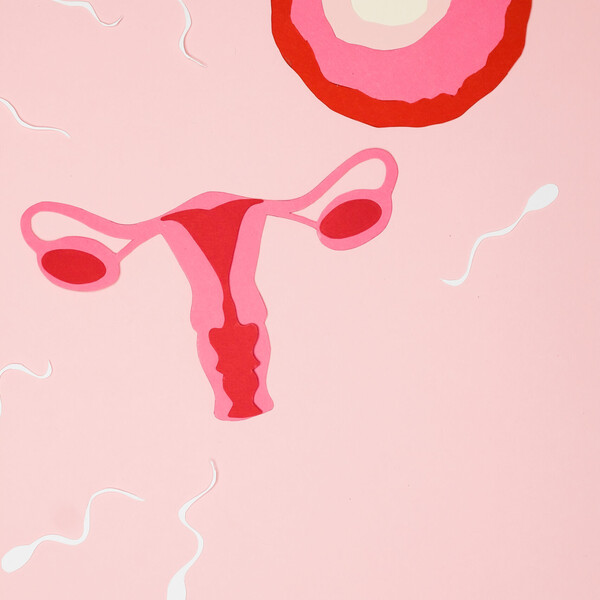 Infertility Signs Symptoms and Causes scaled jpeg