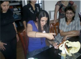 Armenia lab class