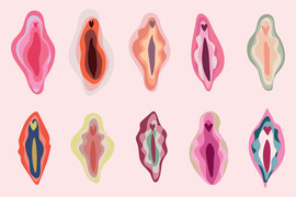 Set of multicolored female vulvas on pink background.