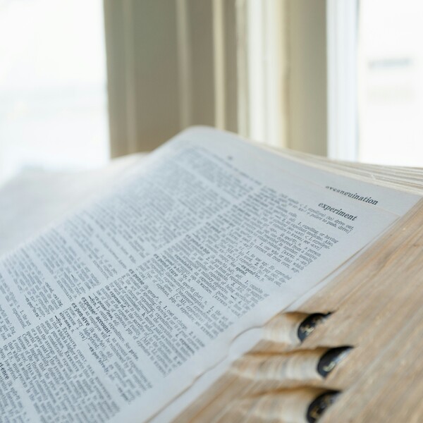 Open dictionary.