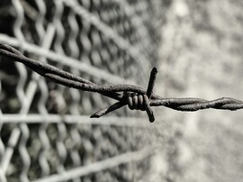 Photograph of barbed wire against backdrop of chain link fence.