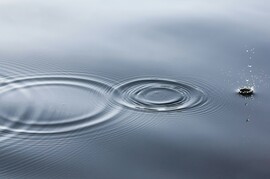 Intersecting circles of ripples in water.