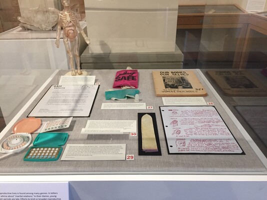 Schlesinger Exhibit2018