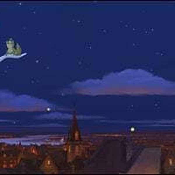 The princess and the frog