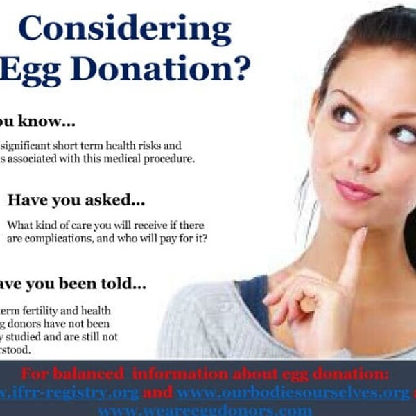 Egg donor considerations