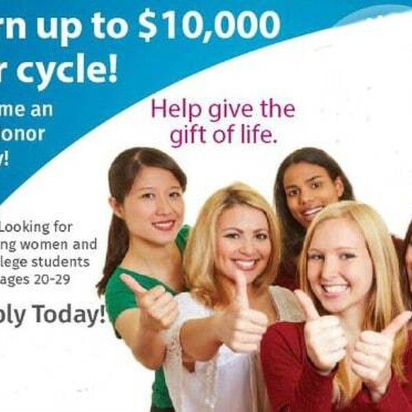 Ad egg donor