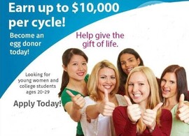 Ad egg donor