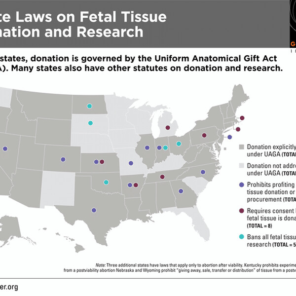 Fetal Tissue Map