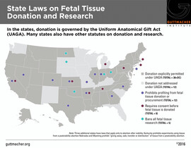Fetal Tissue Map